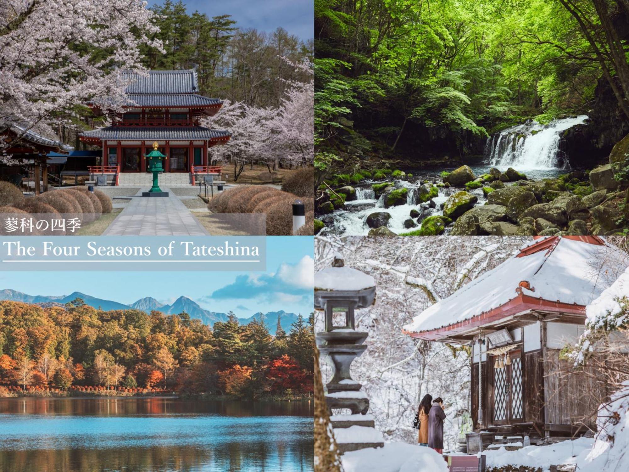 Отель Tateshina Shinyu Onsen Тино Экстерьер фото