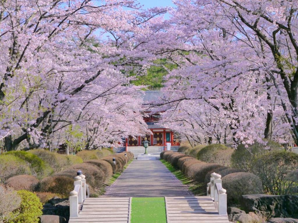 Отель Tateshina Shinyu Onsen Тино Экстерьер фото